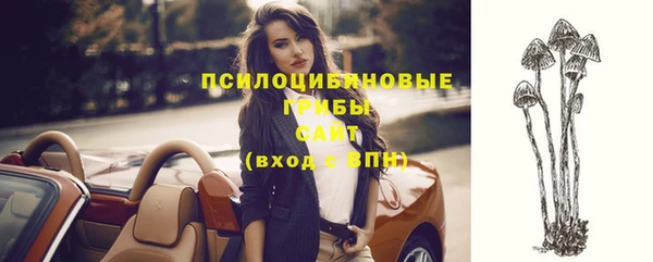 прущие крисы Новодвинск