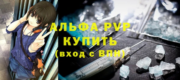 СК Новозыбков
