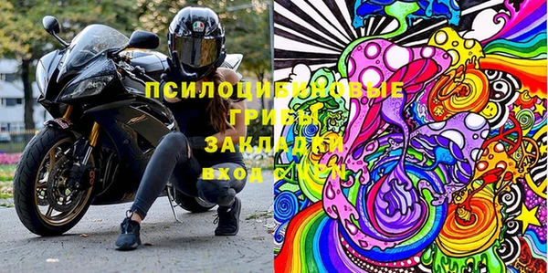 СК Новозыбков